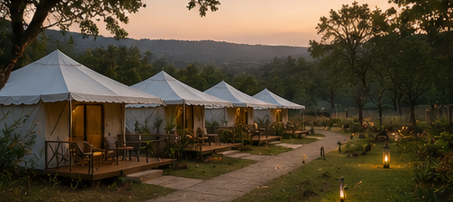 Events, Expeditions & Wildlife Camps 